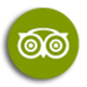logo trip advisor